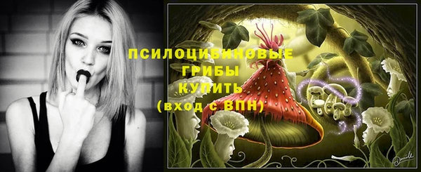Альфа ПВП Арсеньев