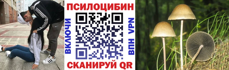 Купить закладки  Сертолово  Галлюциногенные грибы мухоморы 